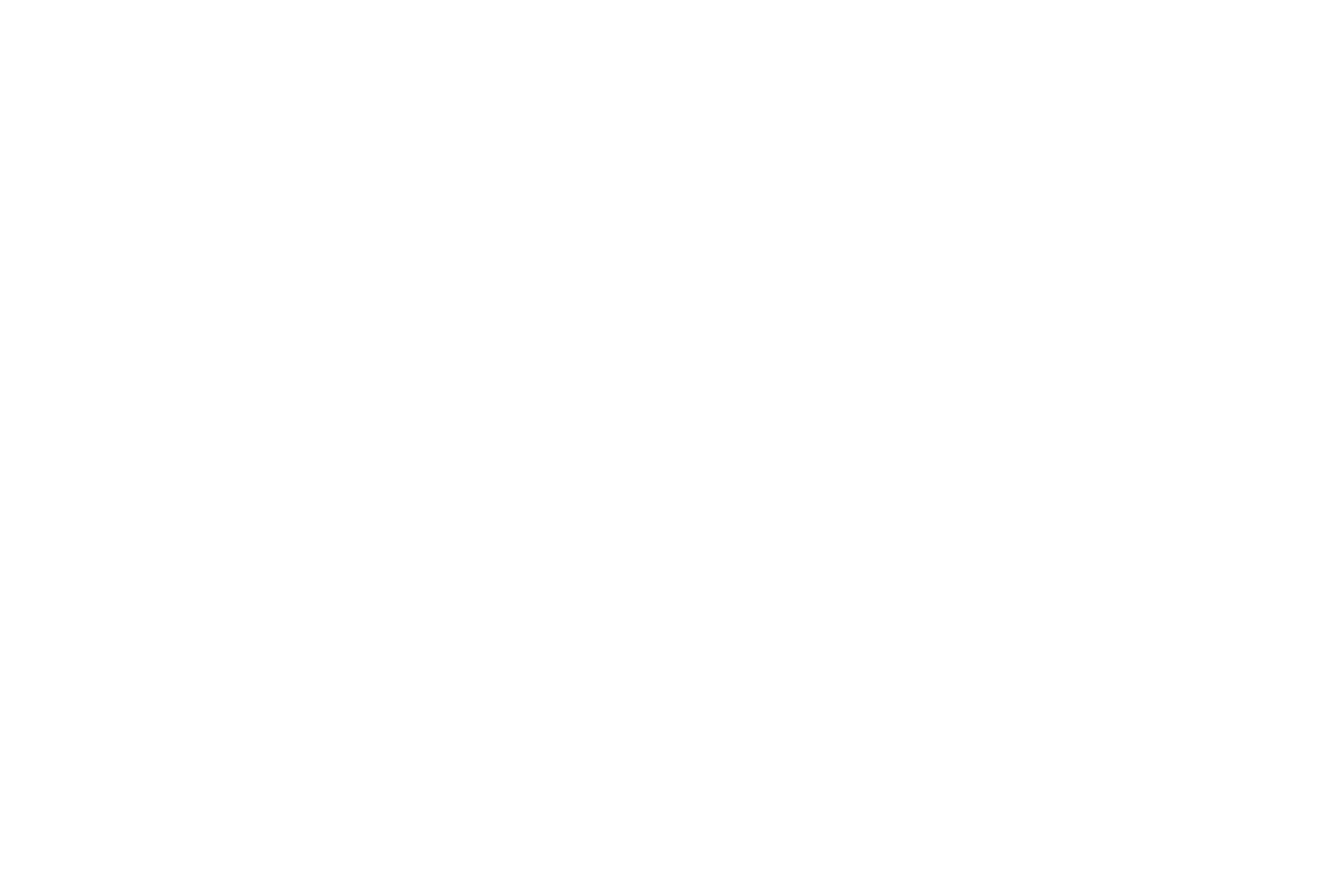 Tiger Logo