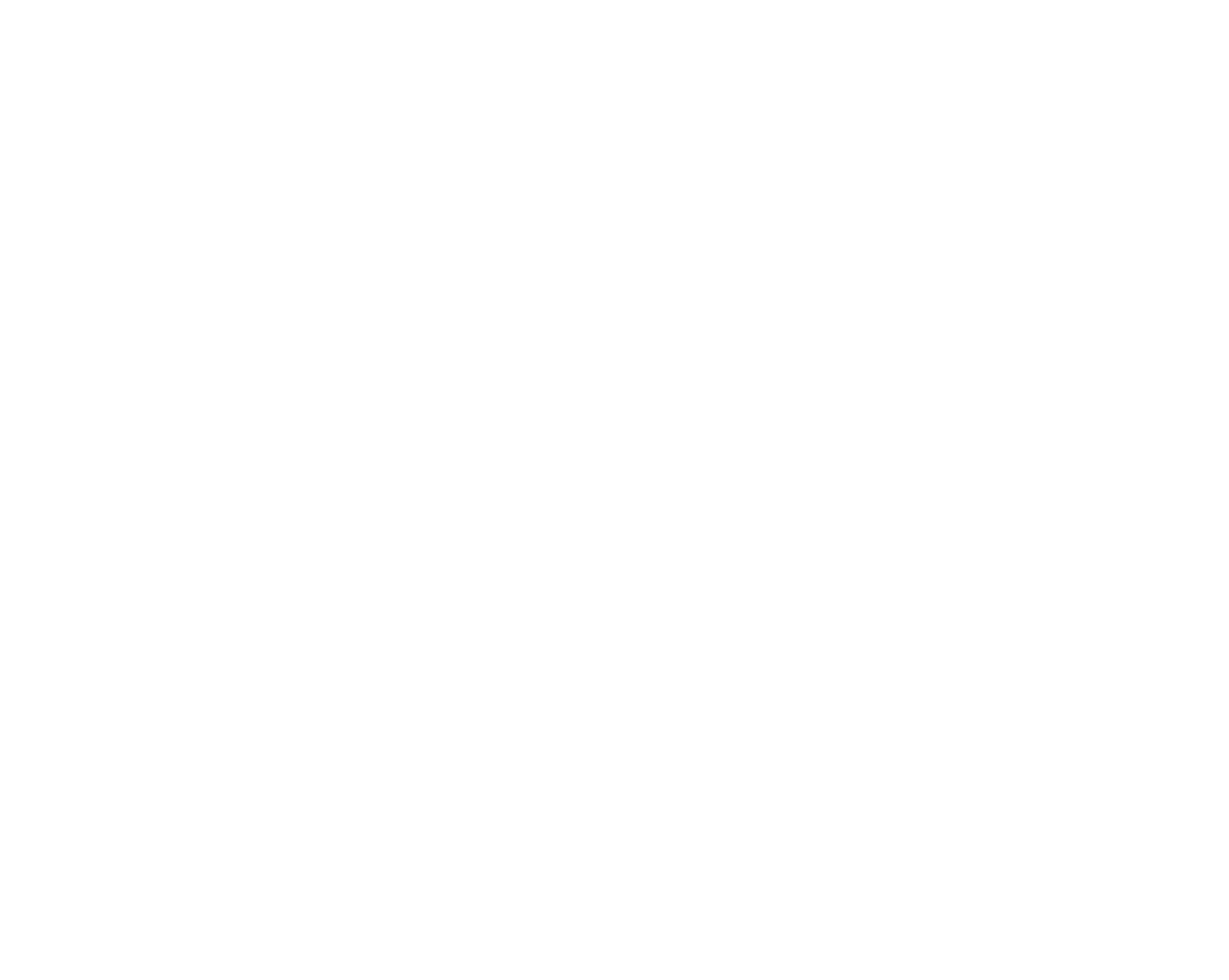 WTplus Logo